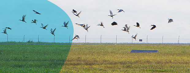 header-risk-management